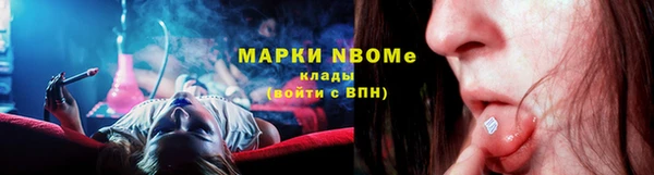 прущие грибы Дмитриев