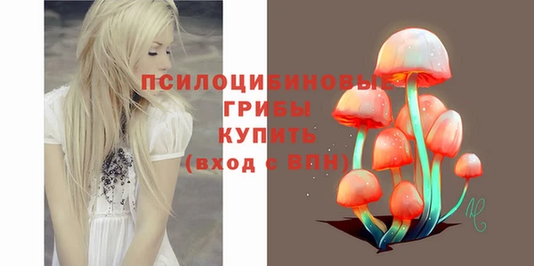 прущие грибы Дмитриев