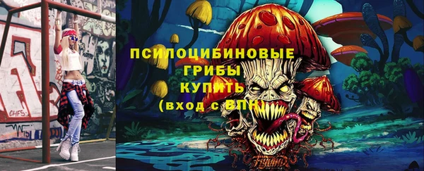 spice Дмитровск
