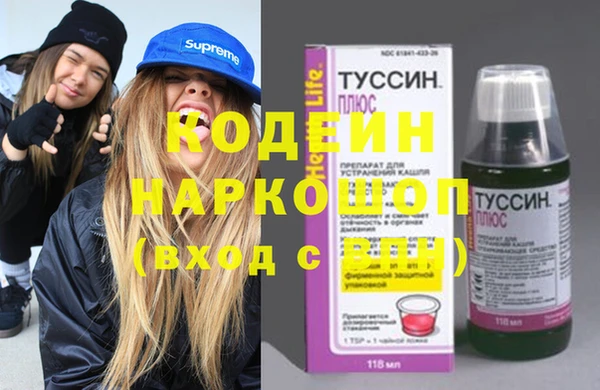 apvp Няндома