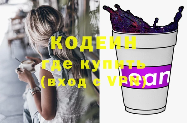 прущие грибы Дмитриев