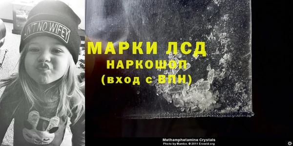 прущие грибы Дмитриев