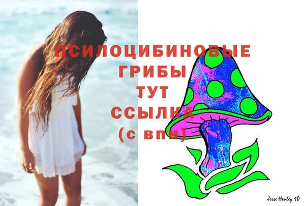 эйфоретик Дмитров