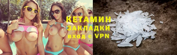прущие грибы Дмитриев
