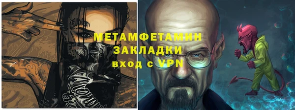 прущие грибы Дмитриев