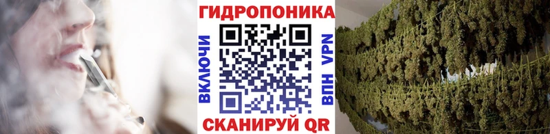 где продают   Пионерский  Марихуана ГИДРОПОН 
